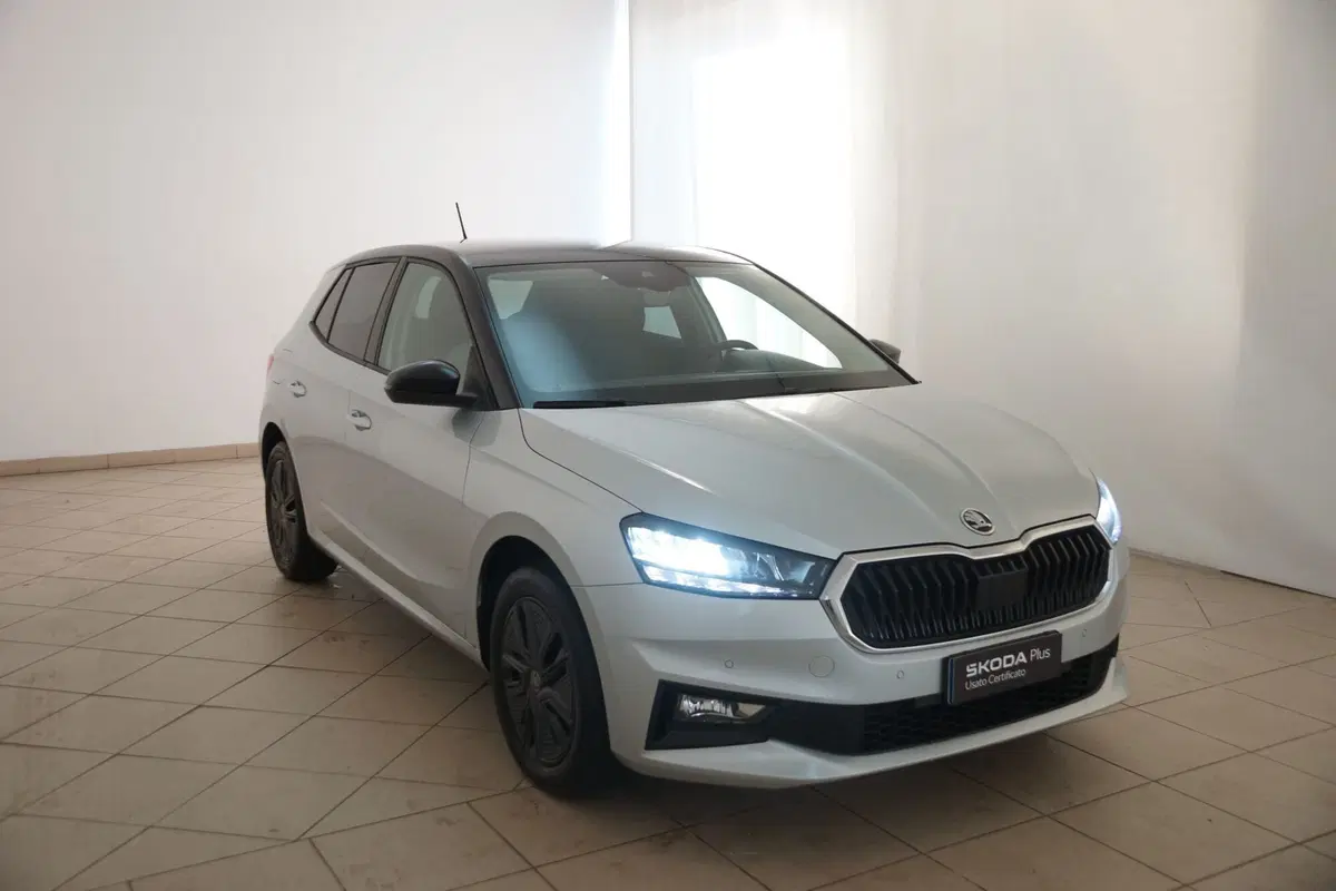 Skoda Fabia usata a Torino (20)