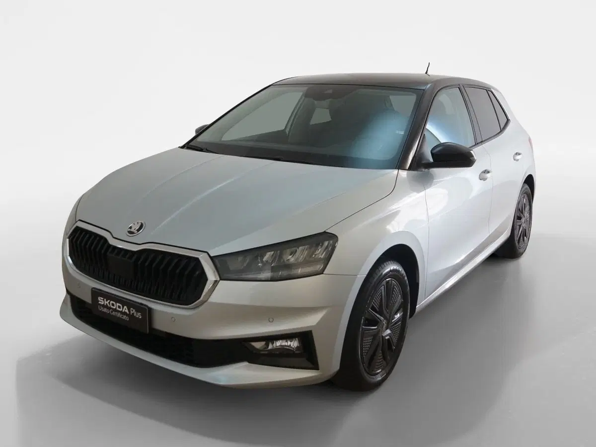 Skoda Fabia usata a Torino (3)