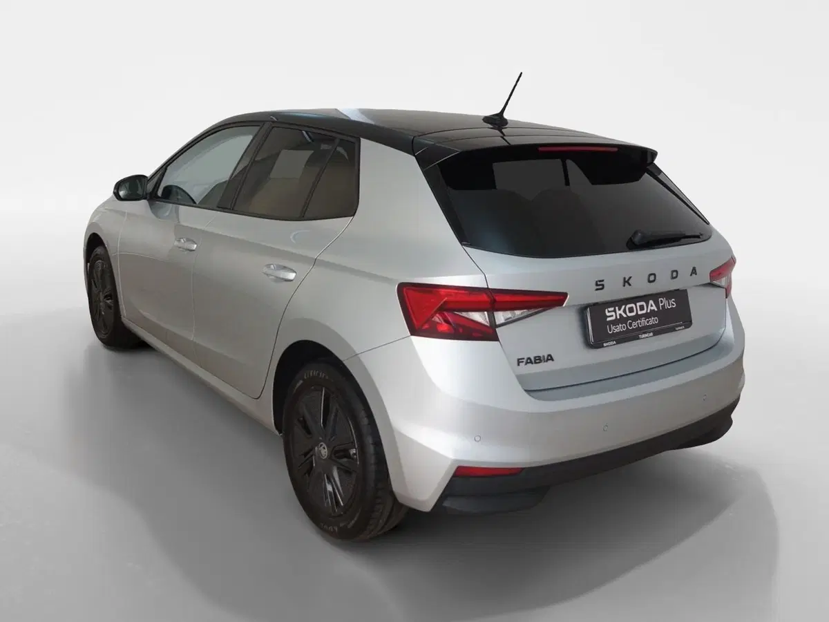 Skoda Fabia usata a Torino (4)