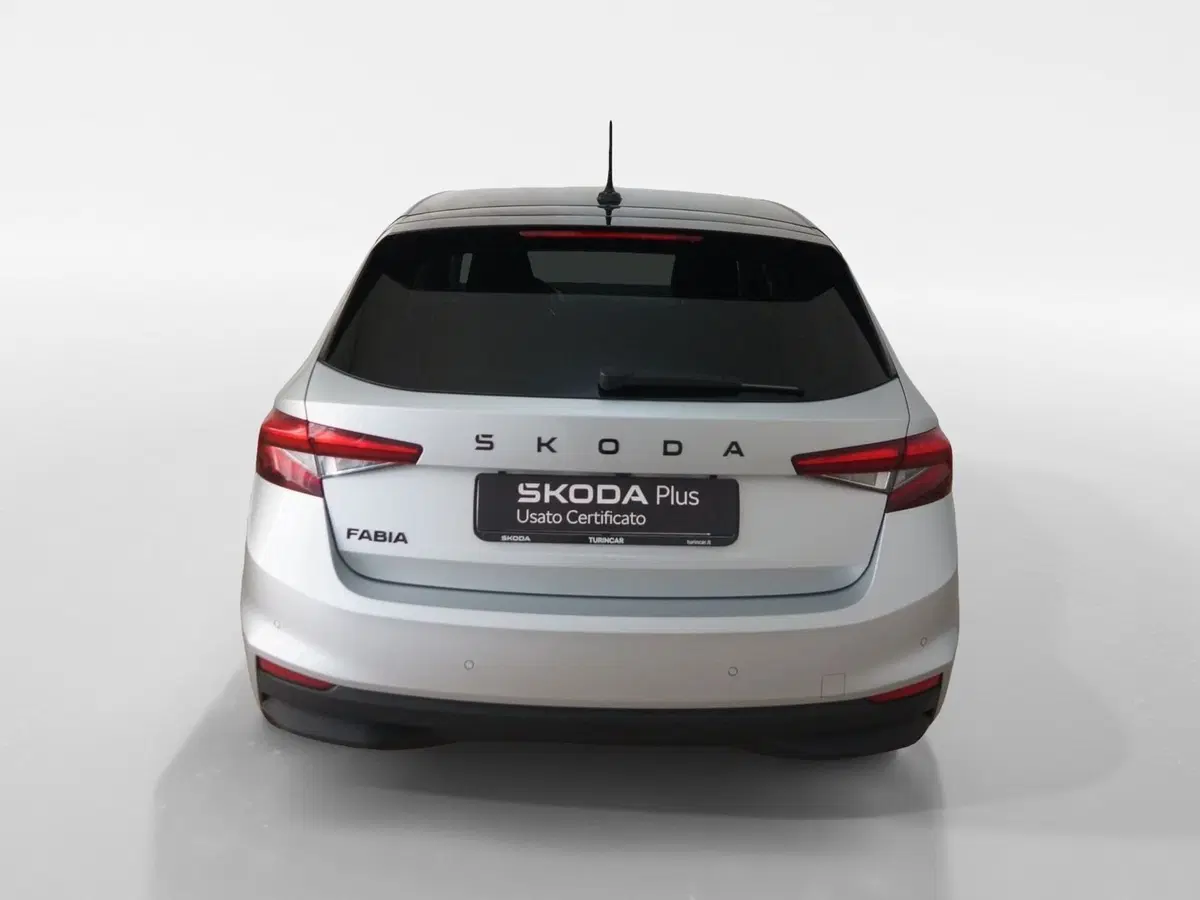 Skoda Fabia usata a Torino (5)