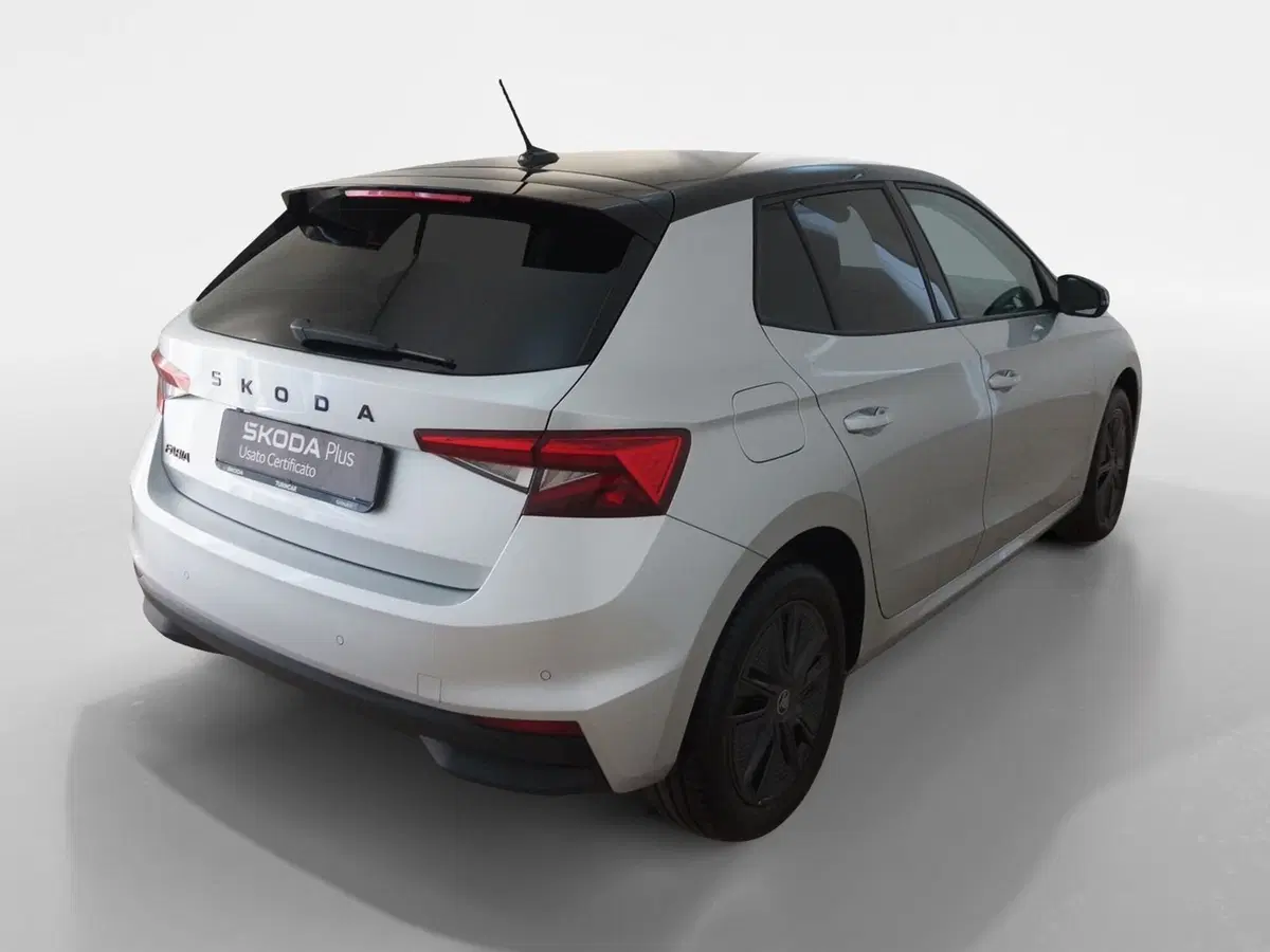 Skoda Fabia usata a Torino (6)