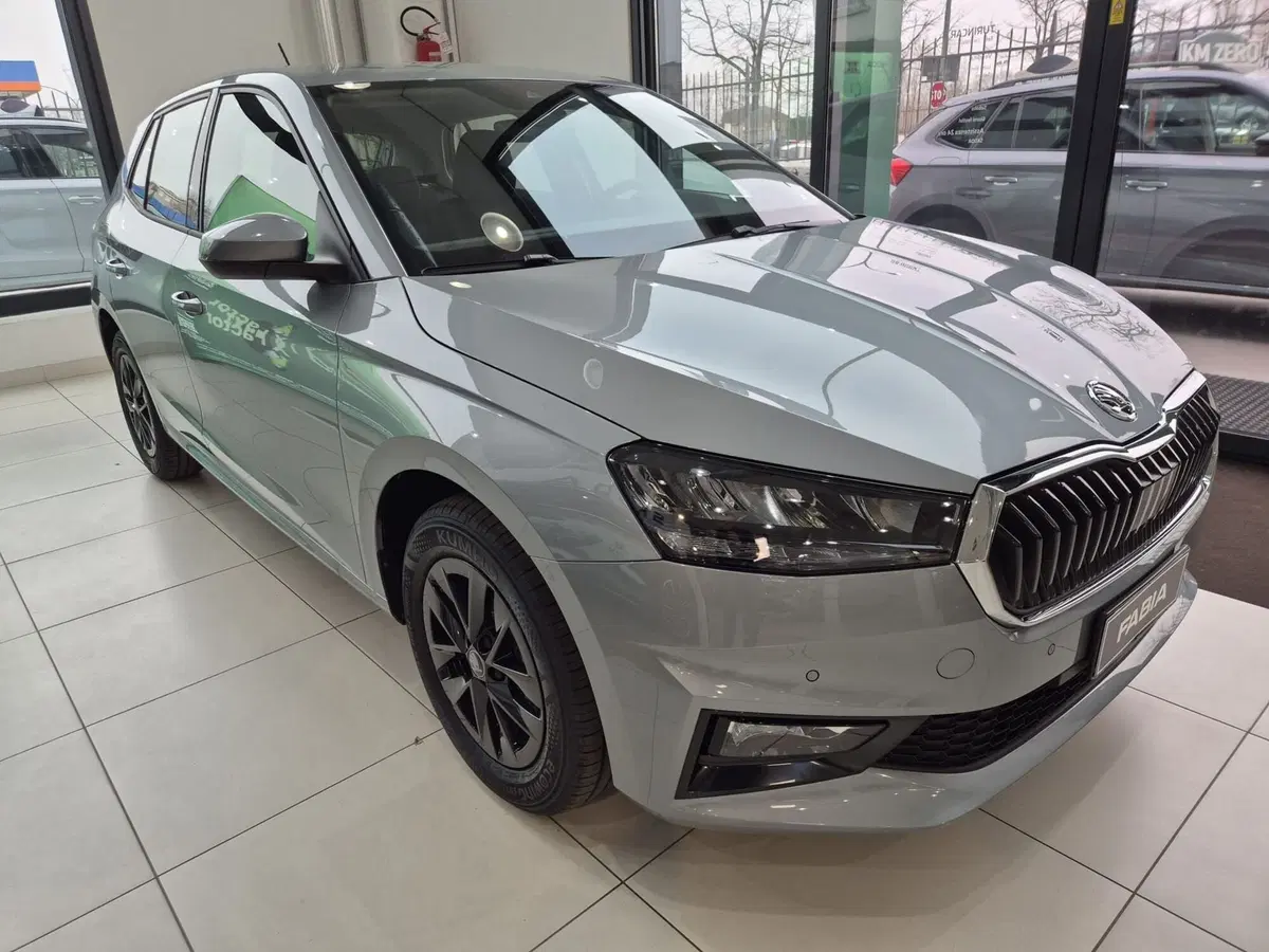 Skoda Fabia nuova a Torino (4)
