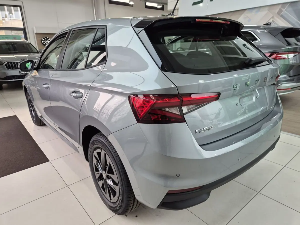 Skoda Fabia nuova a Torino (6)