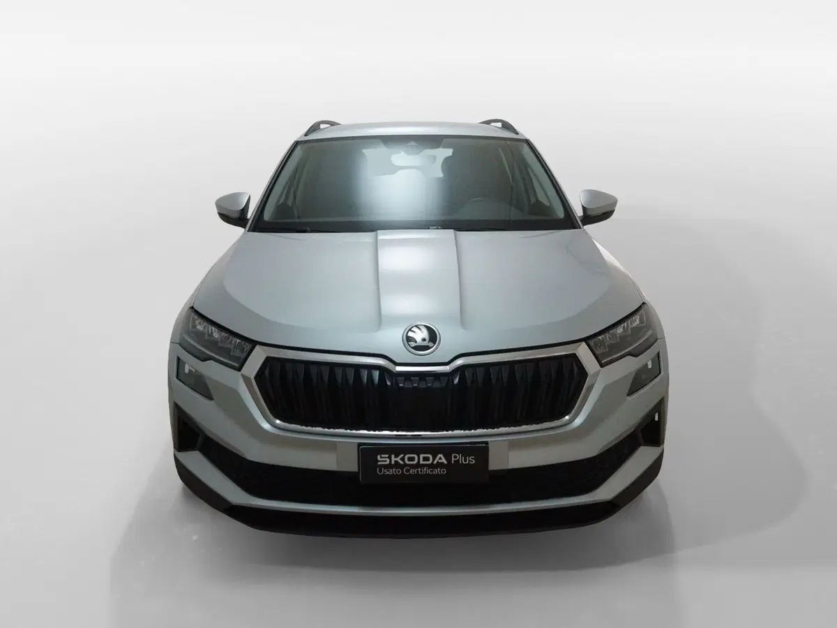 Skoda Karoq usata a Torino (2)