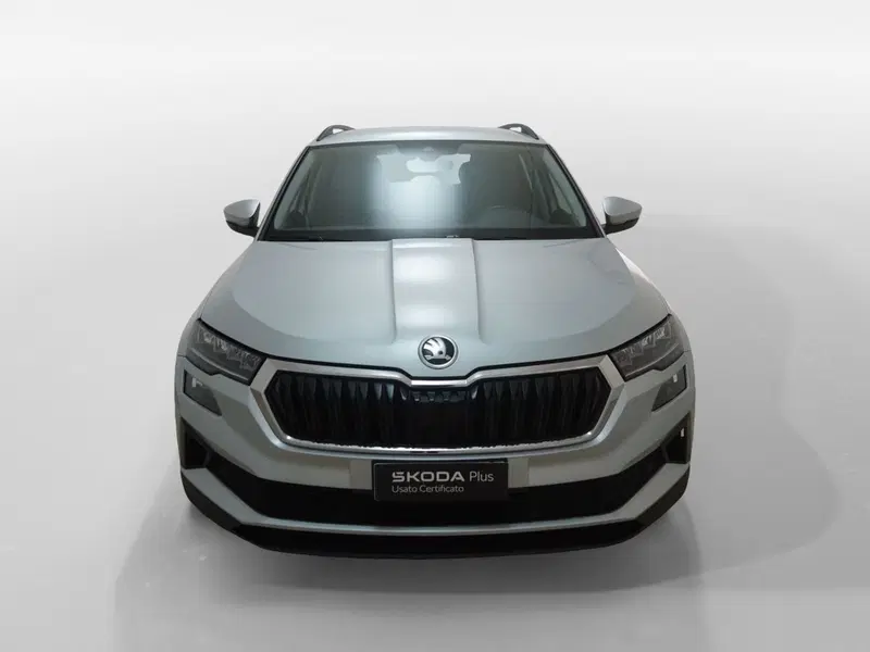 Skoda Karoq usata a Torino (2)