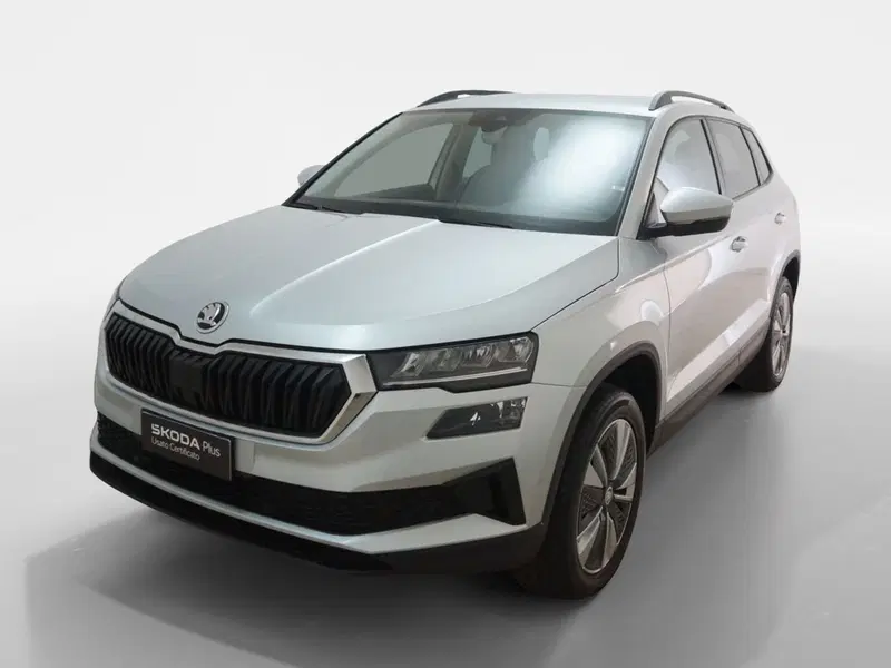 Skoda Karoq usata a Torino (3)