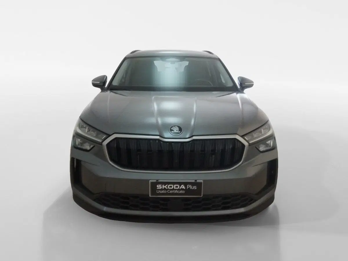 Skoda Kodiaq usata a Torino (2)