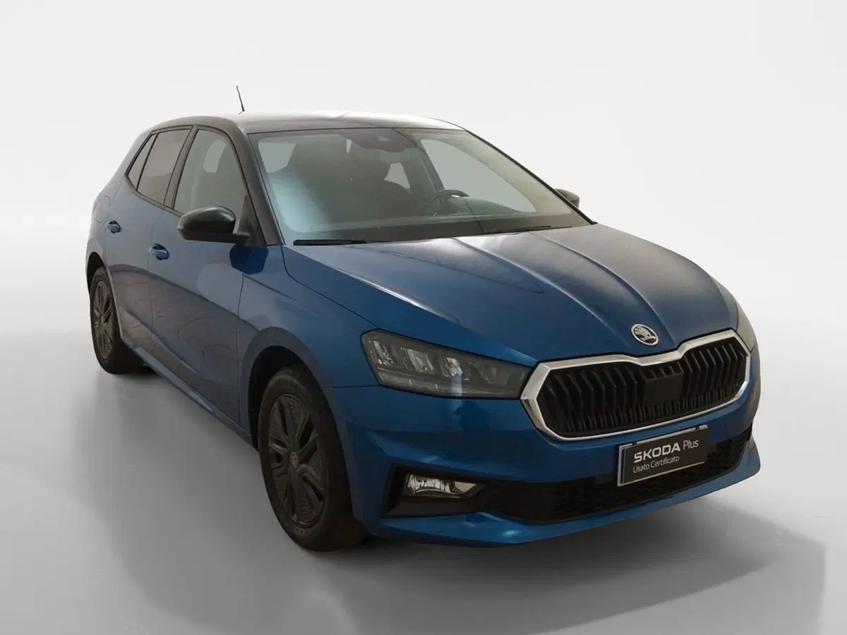 Skoda Fabia usata a Torino