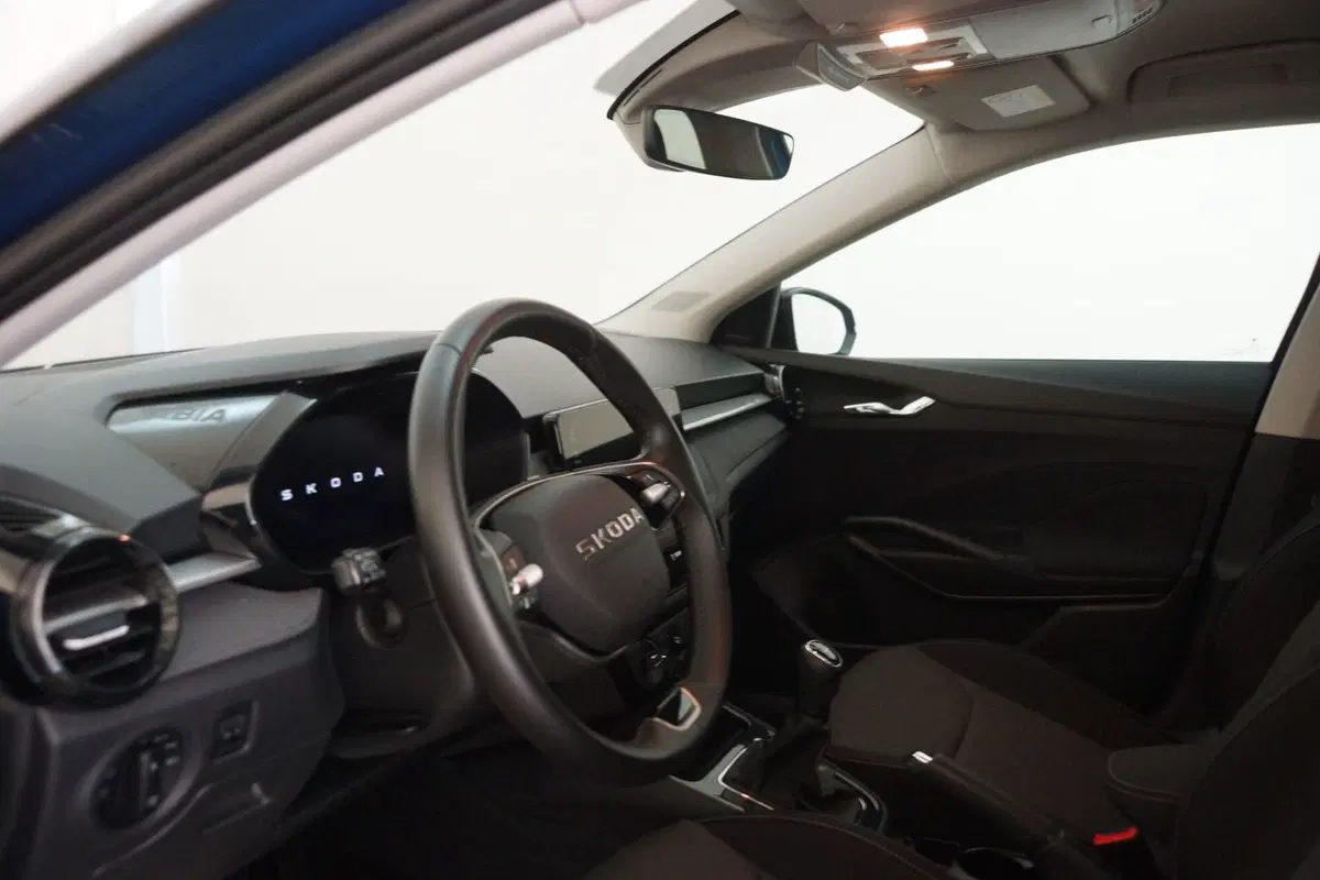 Skoda Fabia usata a Torino (10)
