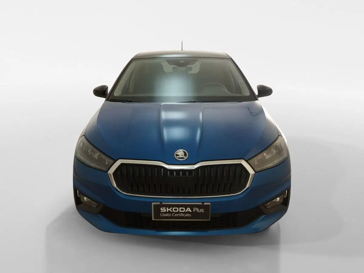 Skoda Fabia usata a Torino (2)