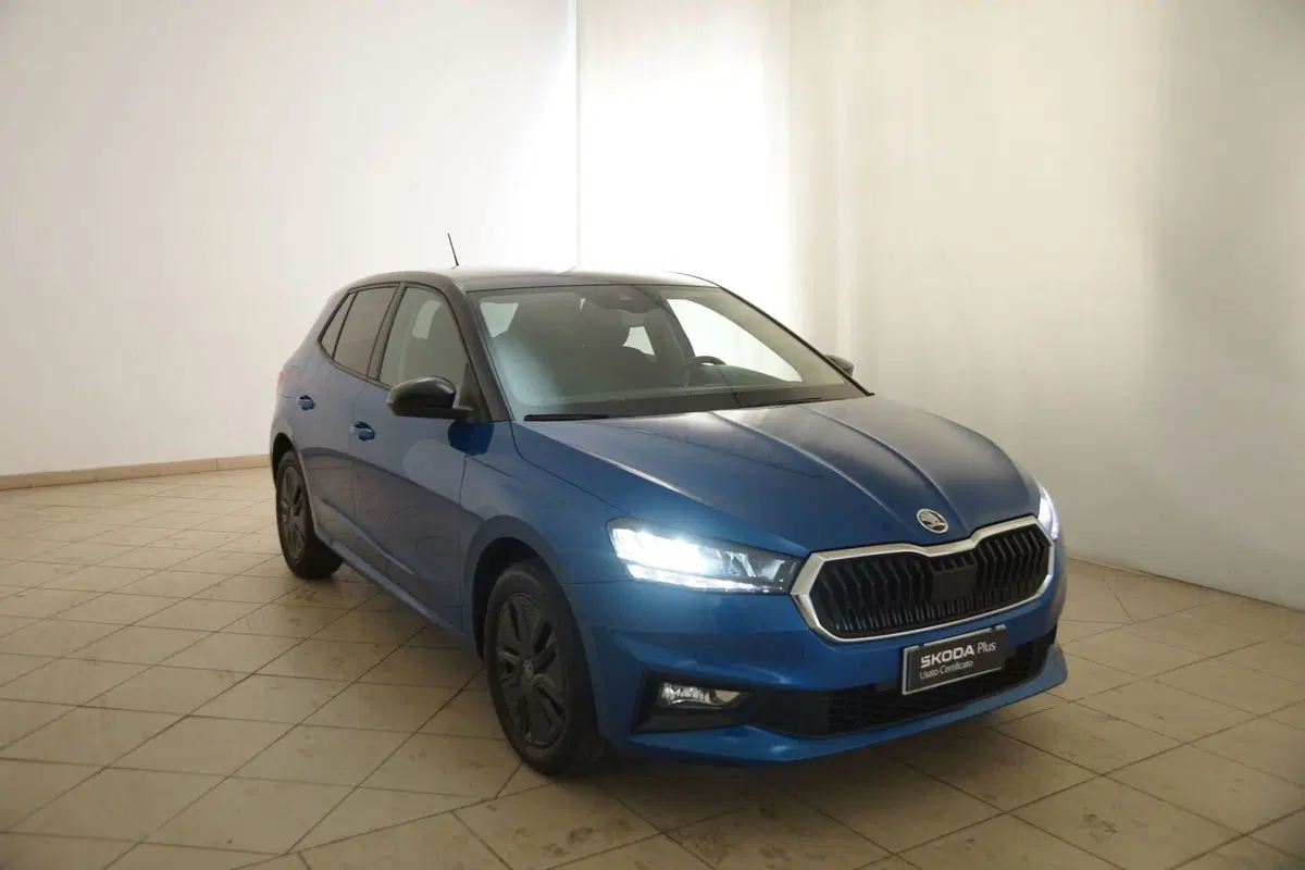Skoda Fabia usata a Torino (20)