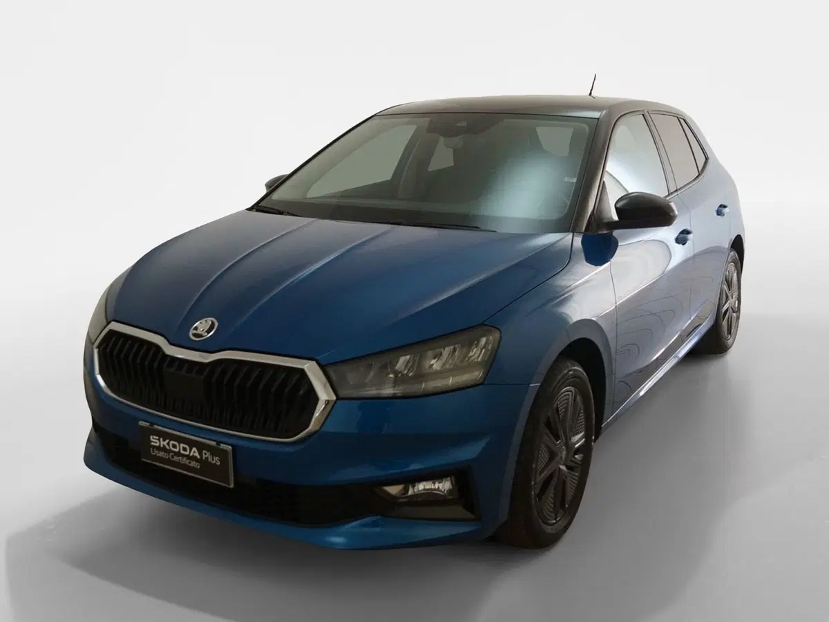 Skoda Fabia usata a Torino (3)