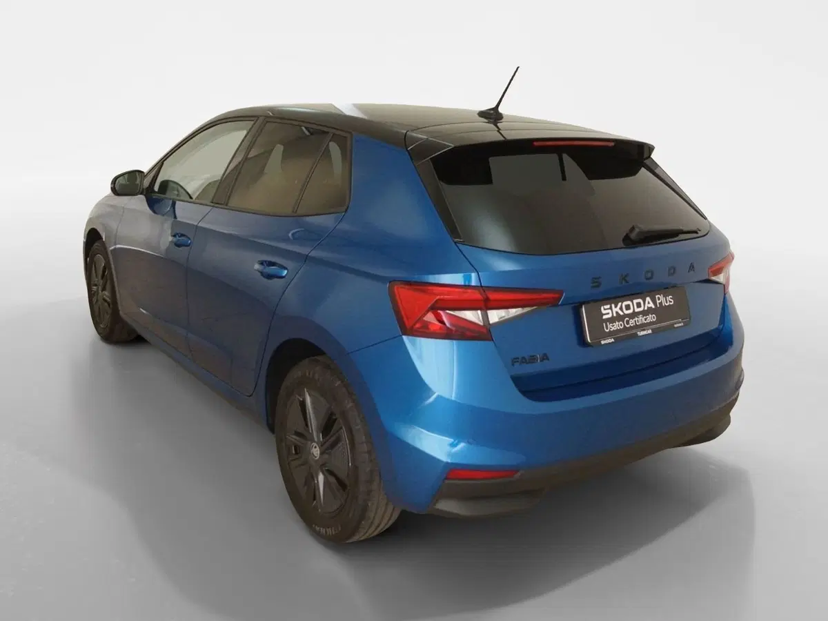 Skoda Fabia usata a Torino (4)