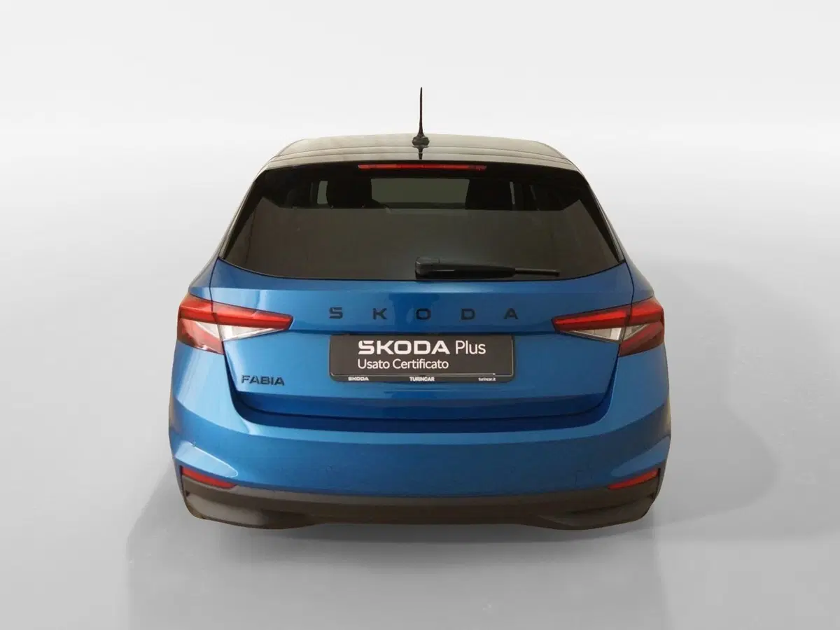 Skoda Fabia usata a Torino (5)