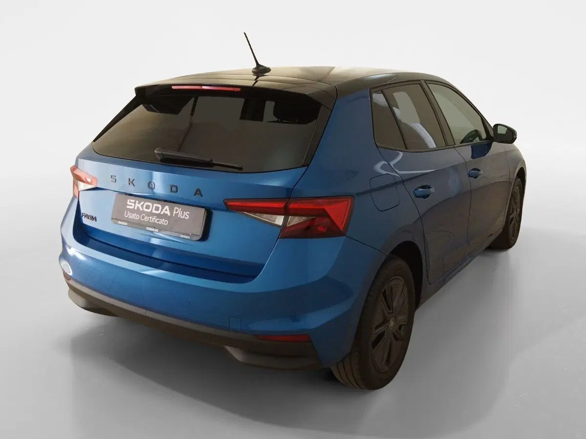 Skoda Fabia usata a Torino (6)