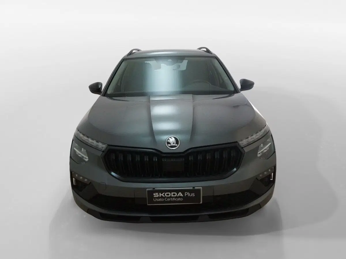 Skoda Kamiq usata a Torino (2)
