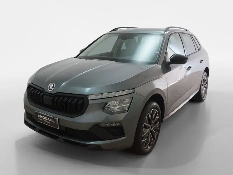 Skoda Kamiq usata a Torino (3)
