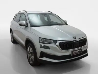Skoda Karoq 2.0 TDI EVO SCR 115 CV DSG Executive del 2023 usata a Torino