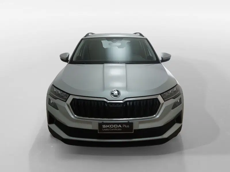 Skoda Karoq usata a Torino (2)