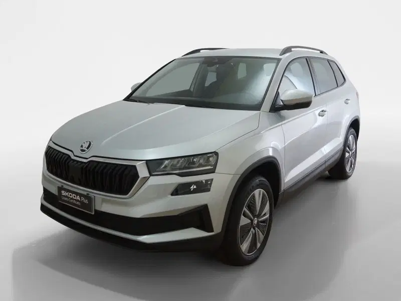 Skoda Karoq usata a Torino (3)