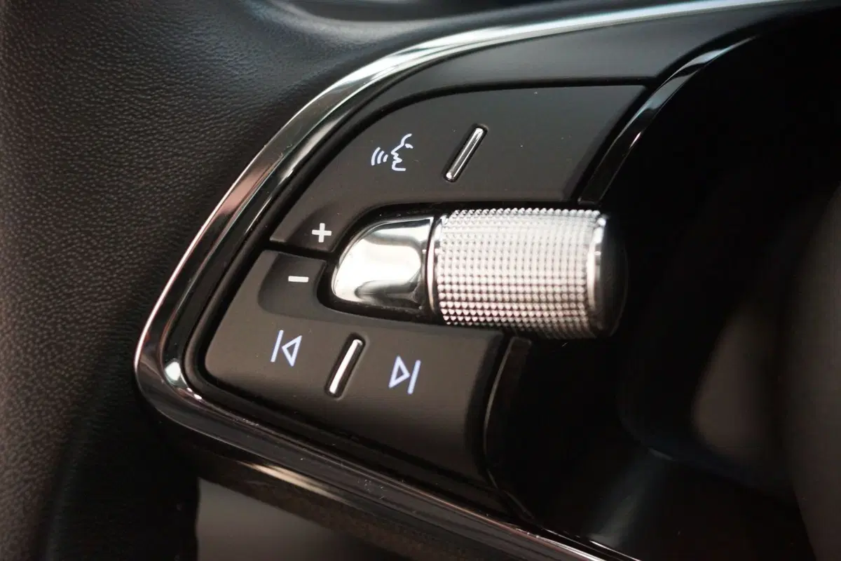 Skoda Kodiaq usata a Torino (15)