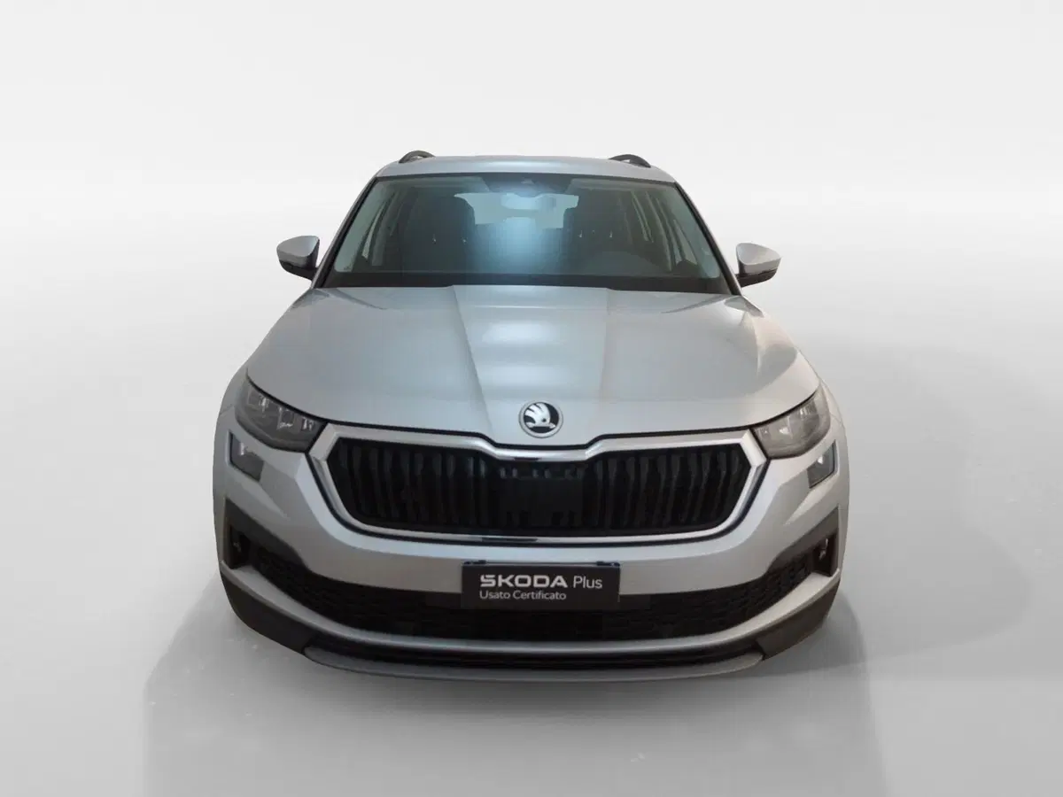 Skoda Kodiaq usata a Torino (2)