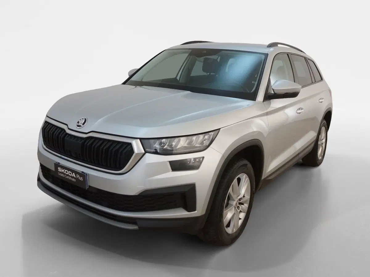 Skoda Kodiaq usata a Torino (3)