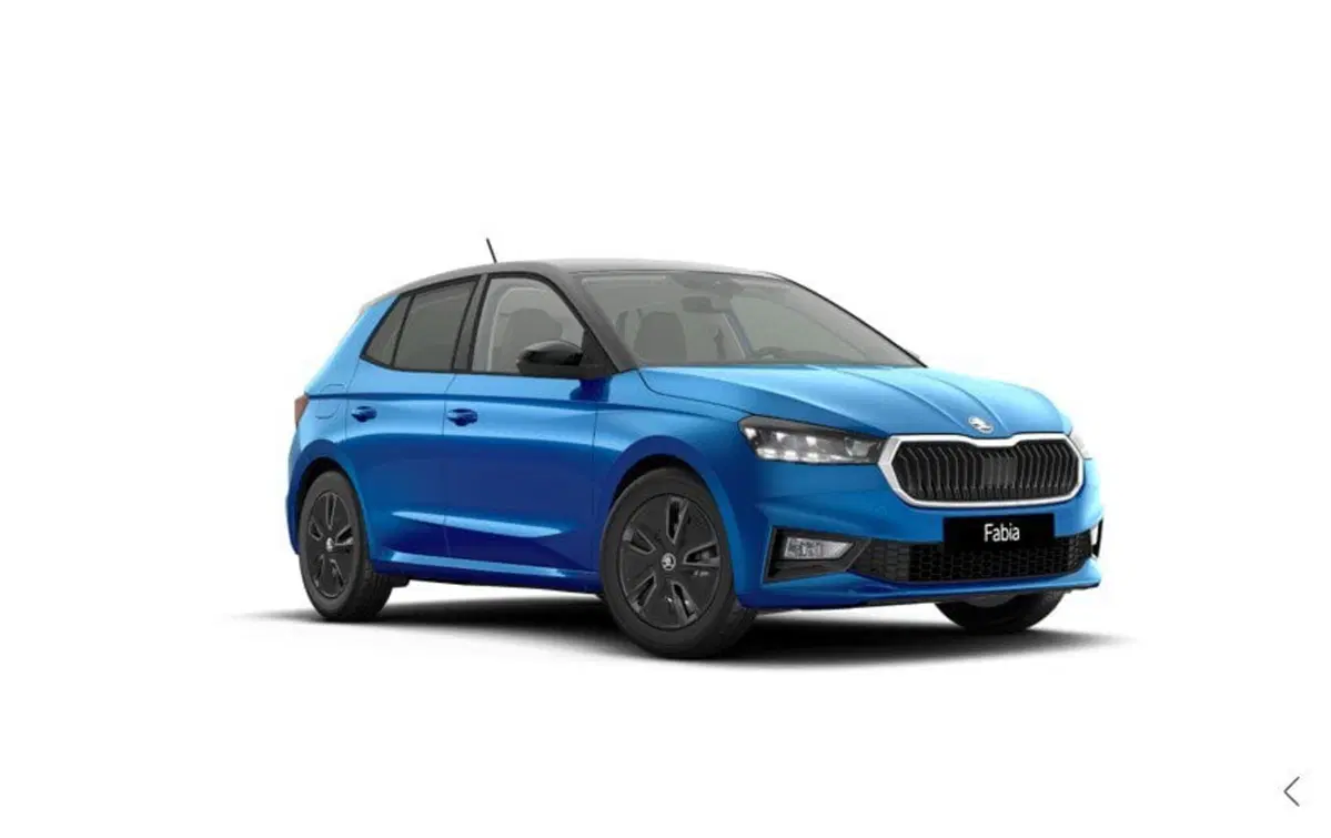 Skoda Fabia nuova a Torino