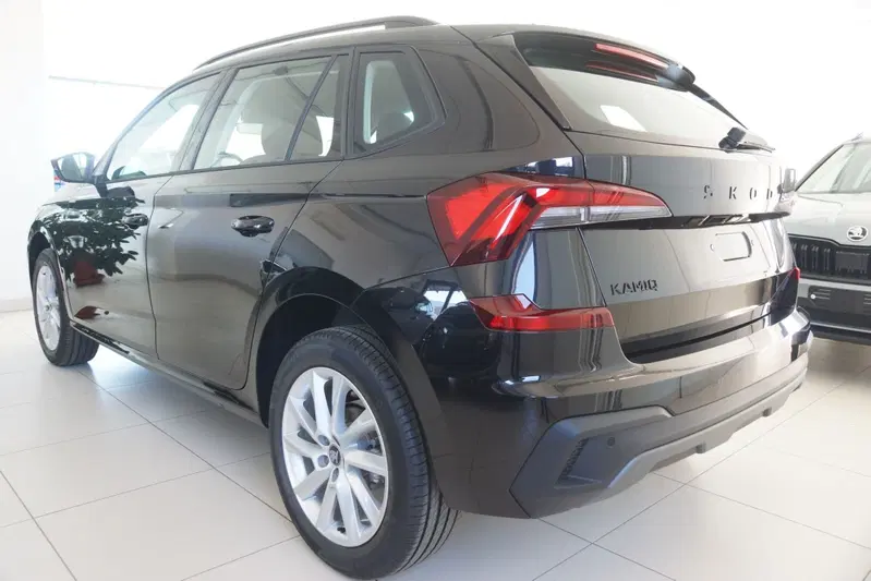 Skoda Kamiq nuova a Torino (11)