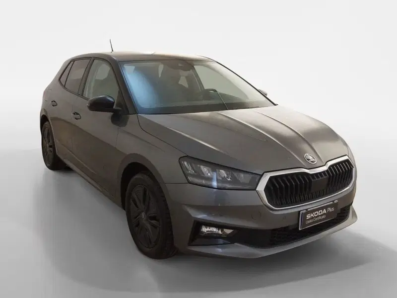 Skoda Fabia usata a Torino