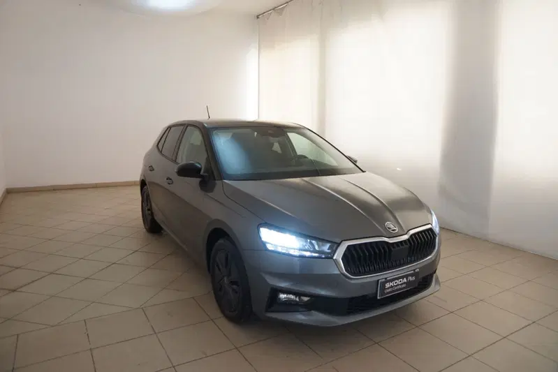 Skoda Fabia usata a Torino (19)