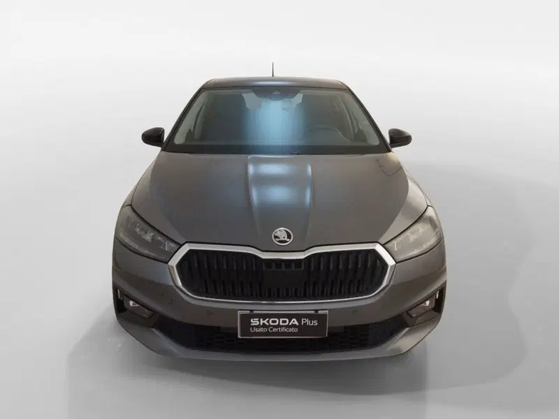 Skoda Fabia usata a Torino (2)