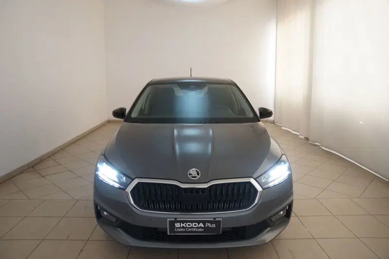 Skoda Fabia usata a Torino (20)