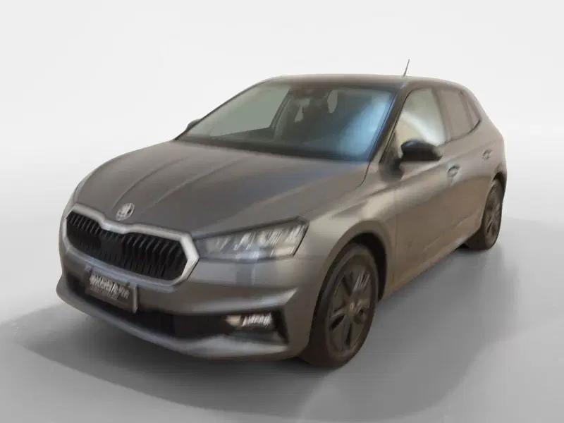 Skoda Fabia usata a Torino (3)