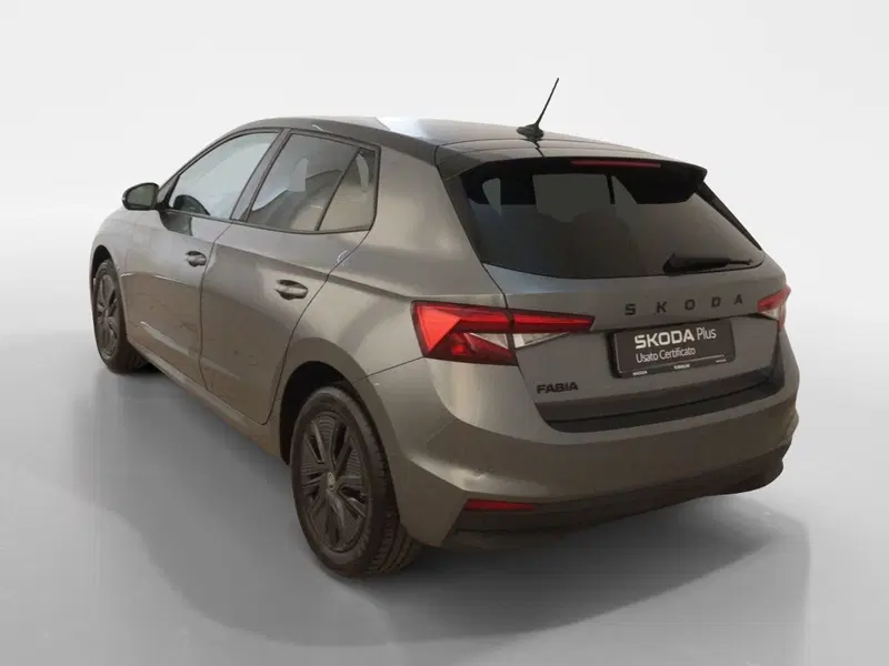 Skoda Fabia usata a Torino (4)
