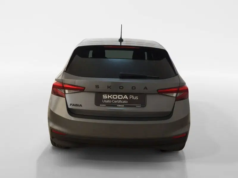Skoda Fabia usata a Torino (5)