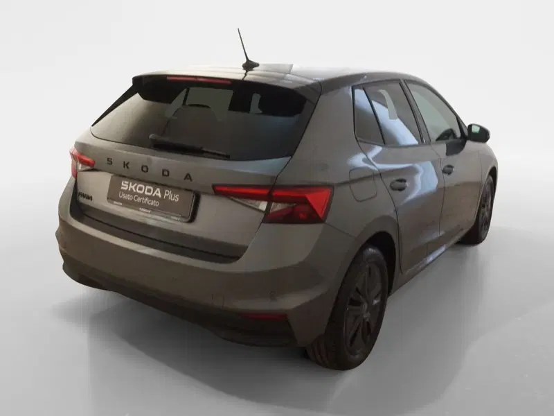 Skoda Fabia usata a Torino (6)