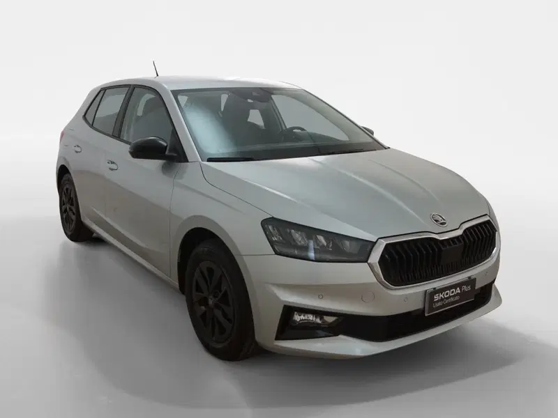 Skoda Fabia usata a Torino