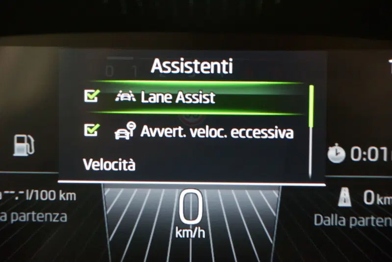 Skoda Fabia usata a Torino (15)