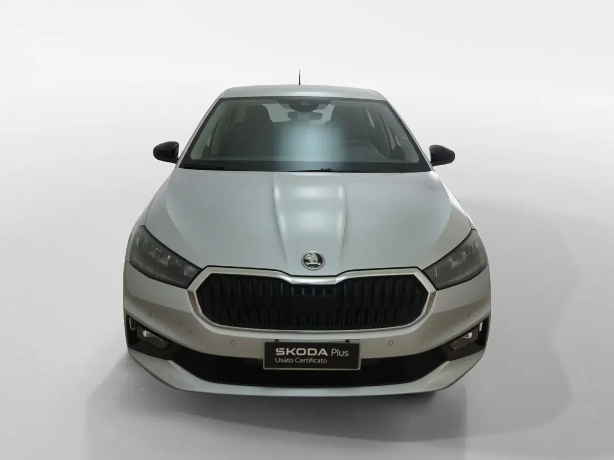 Skoda Fabia usata a Torino (2)