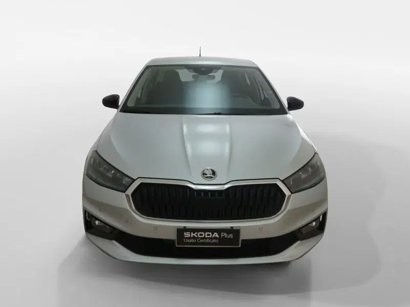 Skoda Fabia usata a Torino (2)