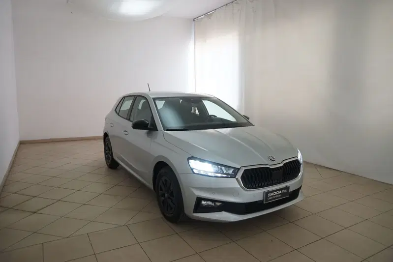 Skoda Fabia usata a Torino (20)