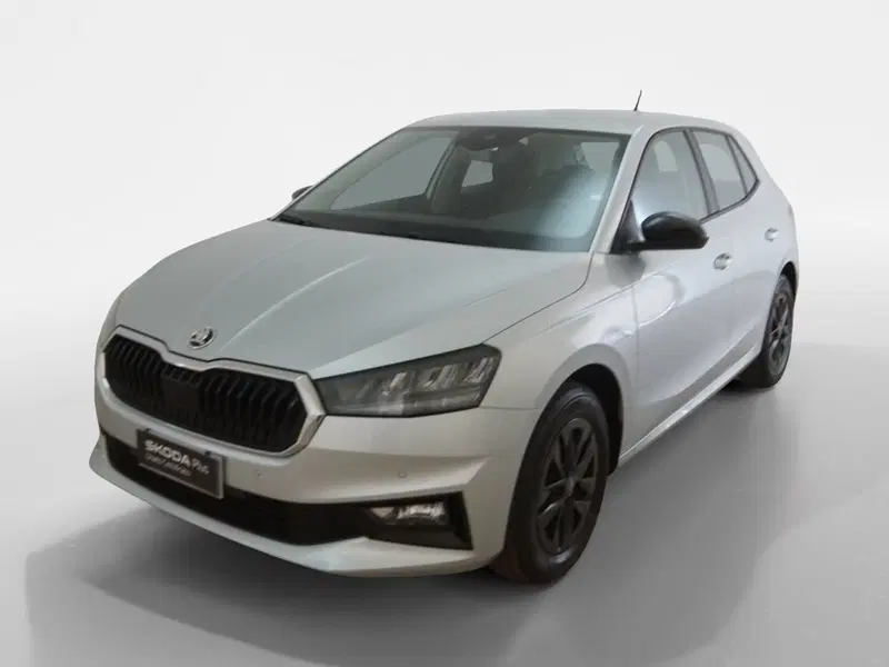 Skoda Fabia usata a Torino (3)