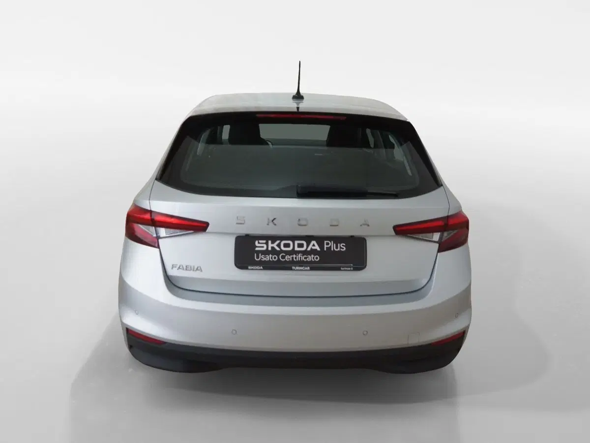 Skoda Fabia usata a Torino (5)