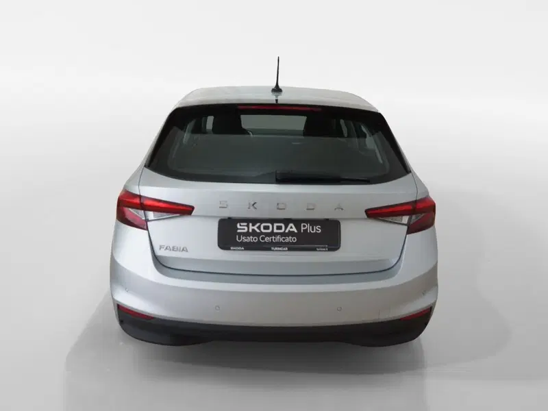Skoda Fabia usata a Torino (5)