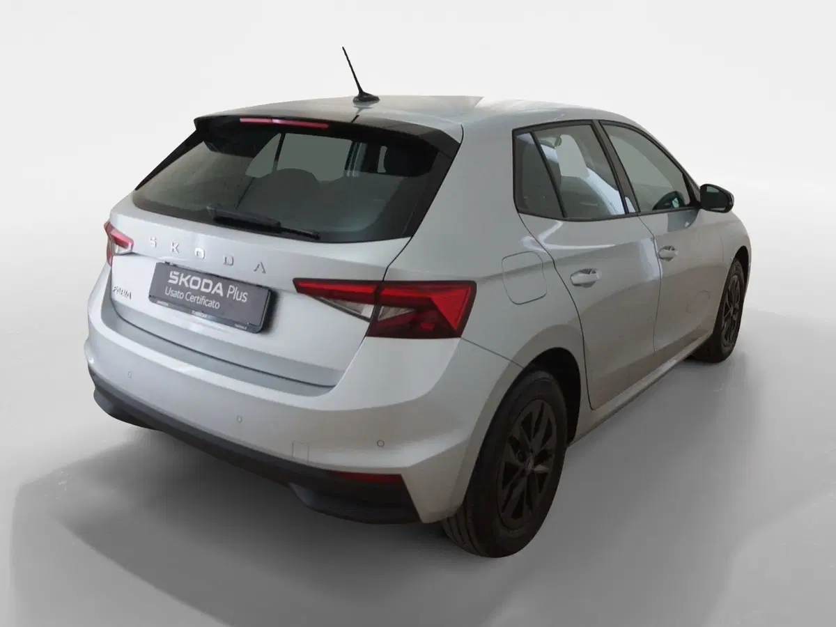 Skoda Fabia usata a Torino (6)