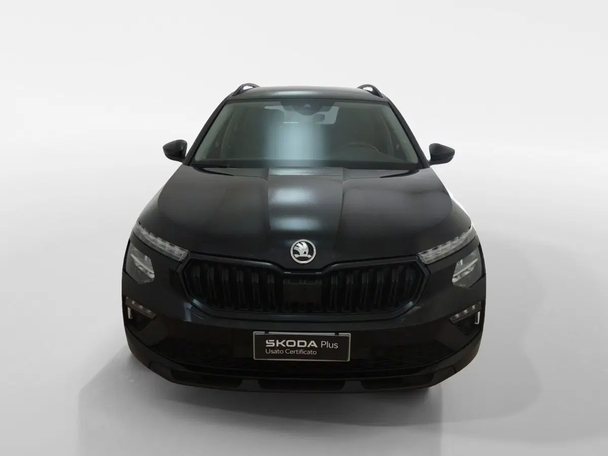 Skoda Kamiq usata a Torino (2)