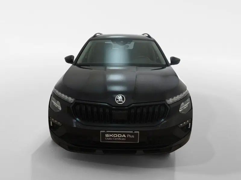 Skoda Kamiq usata a Torino (2)