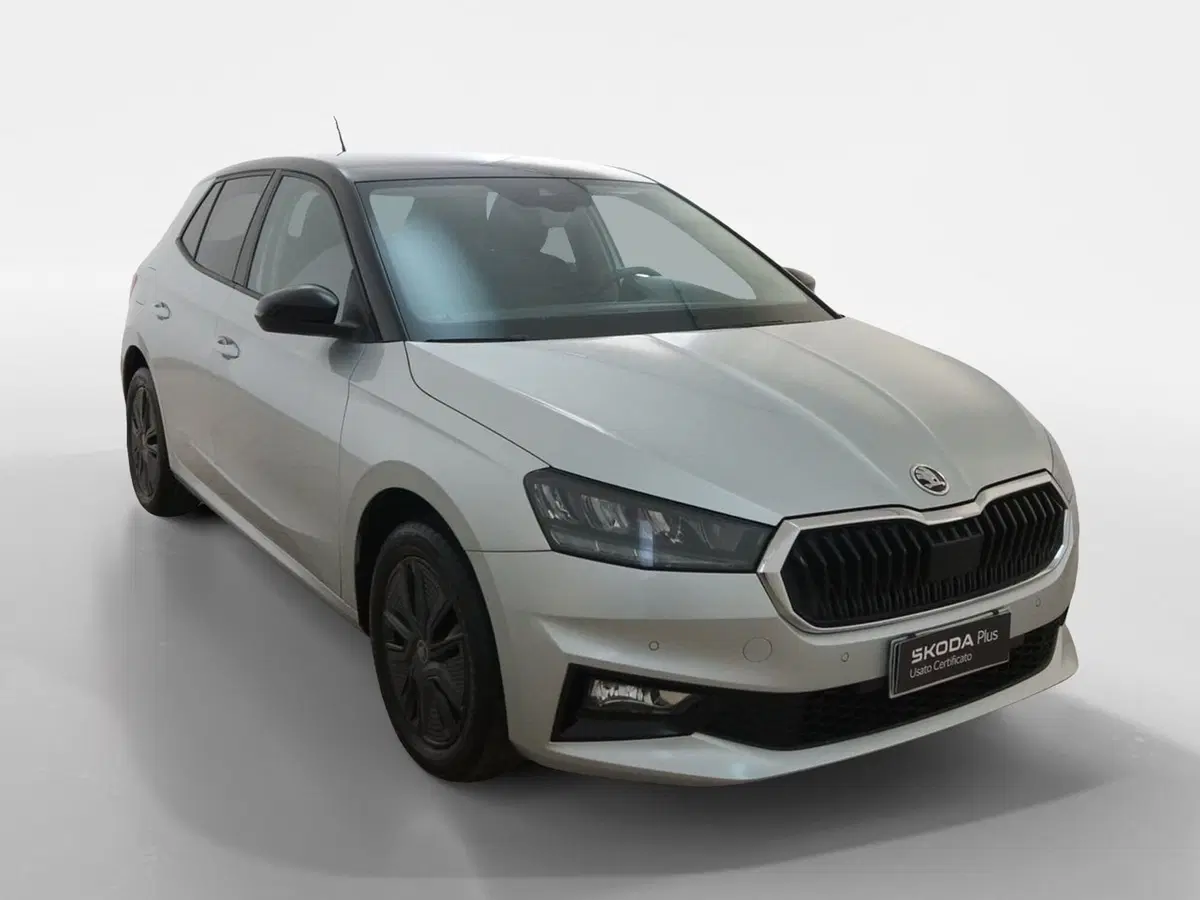 Skoda Fabia usata a Torino