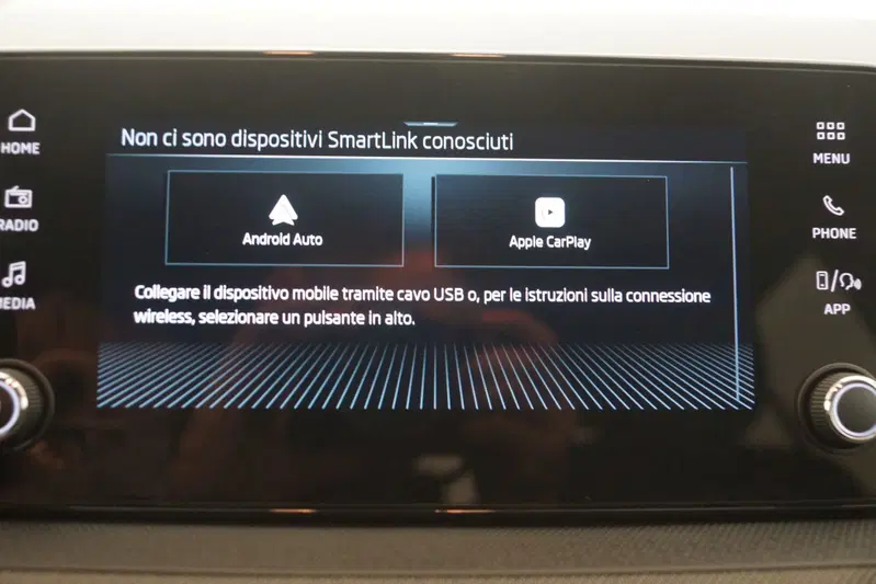 Skoda Fabia usata a Torino (17)
